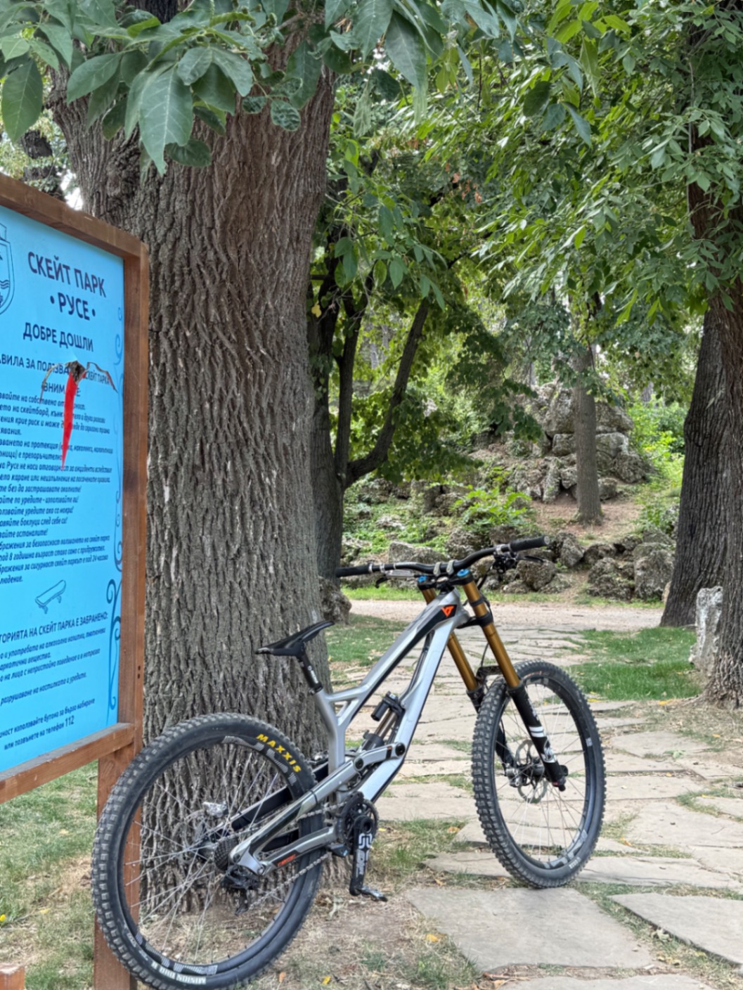 Bike view 9