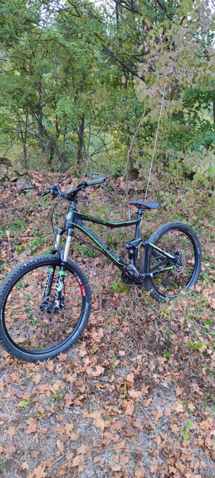 Marin Alpine Trail 7