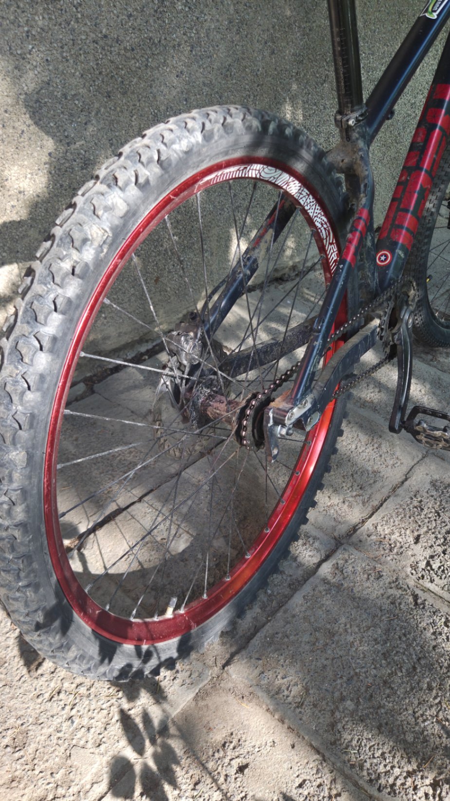 Bike view 6