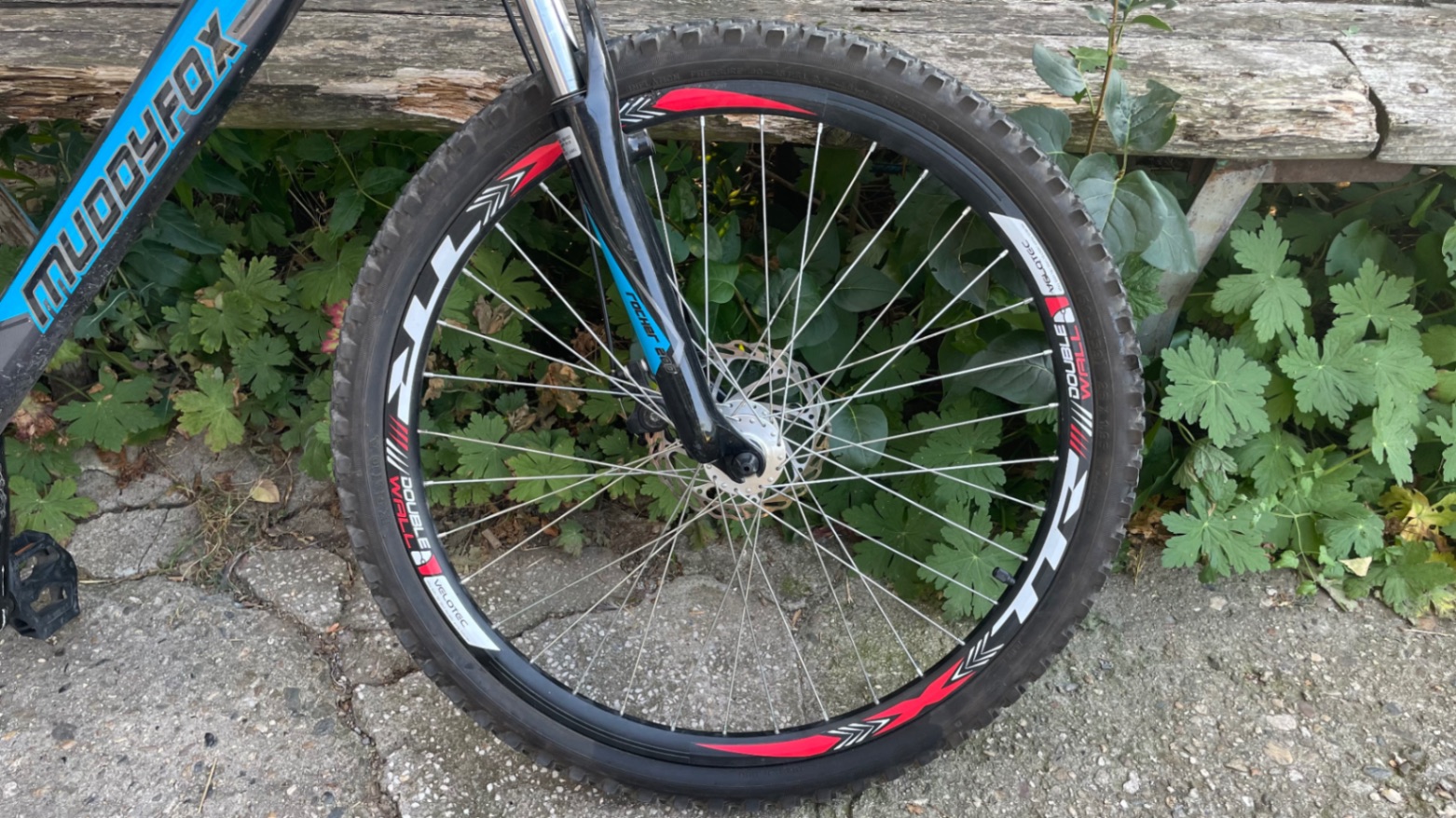 Bike view 5