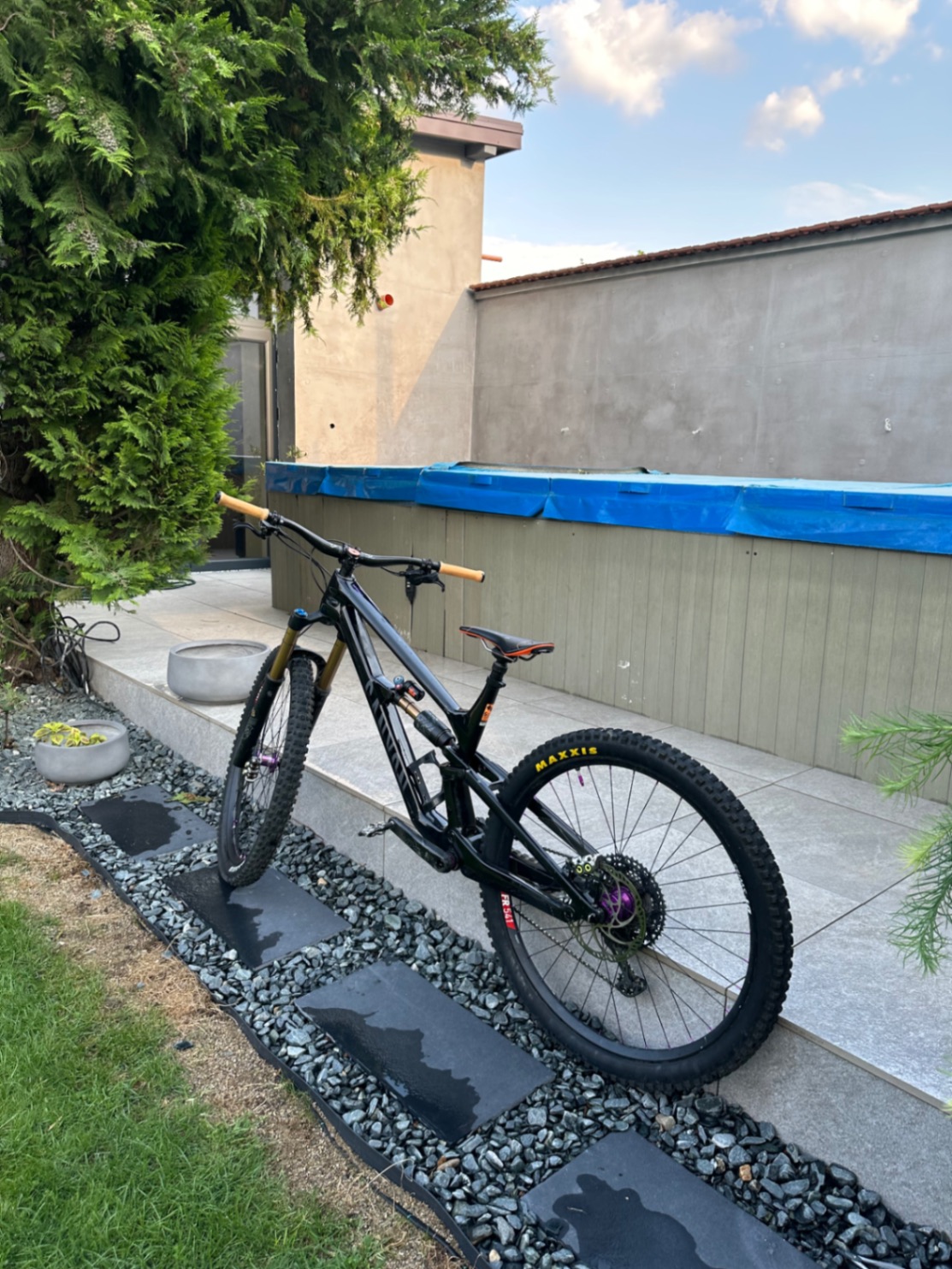 Canyon Torque CF 9.0