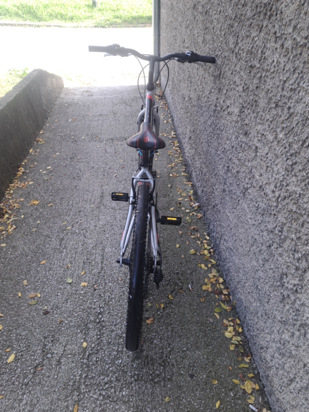 Bike view 7