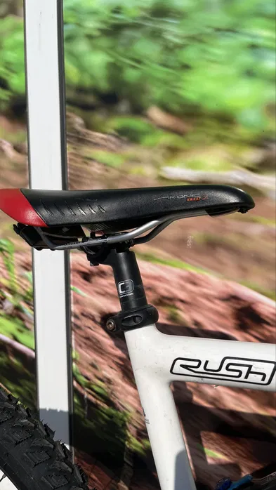 Bike view 9