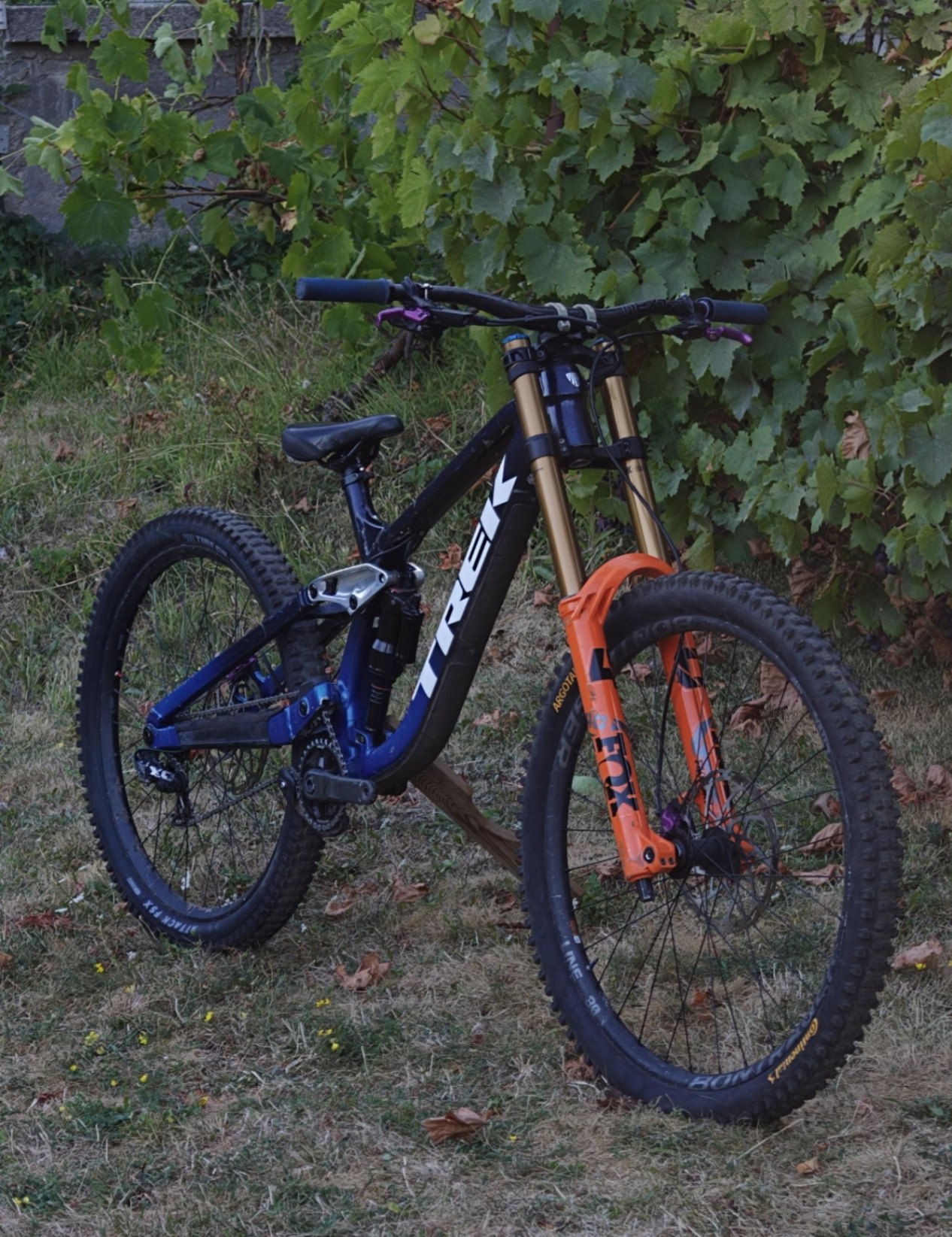 Trek Session 9.9