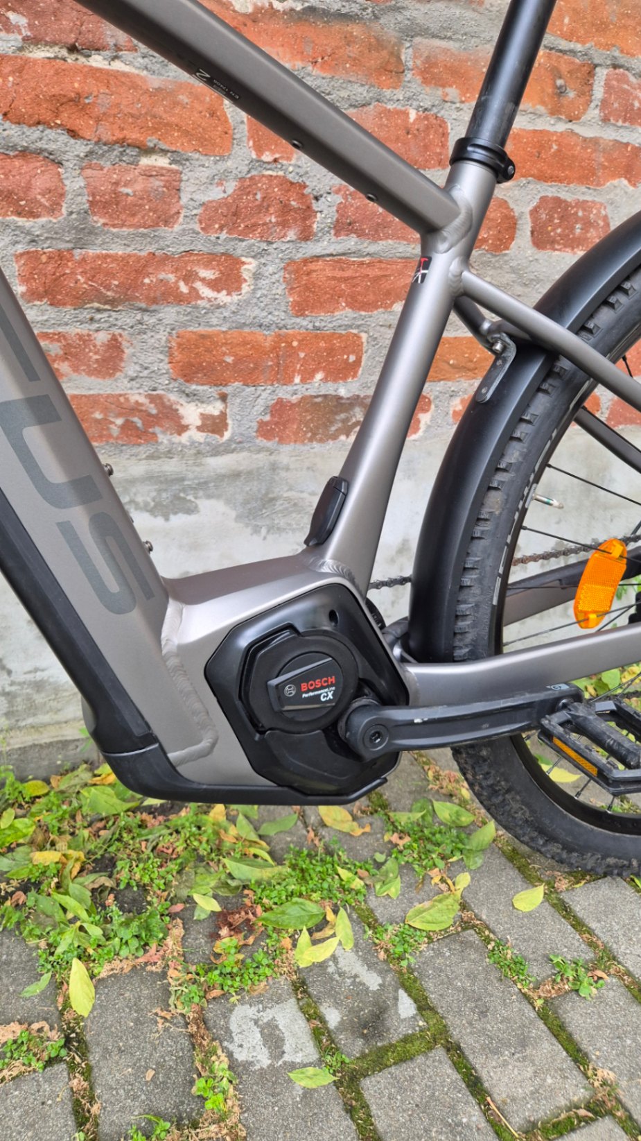 Bike view 9