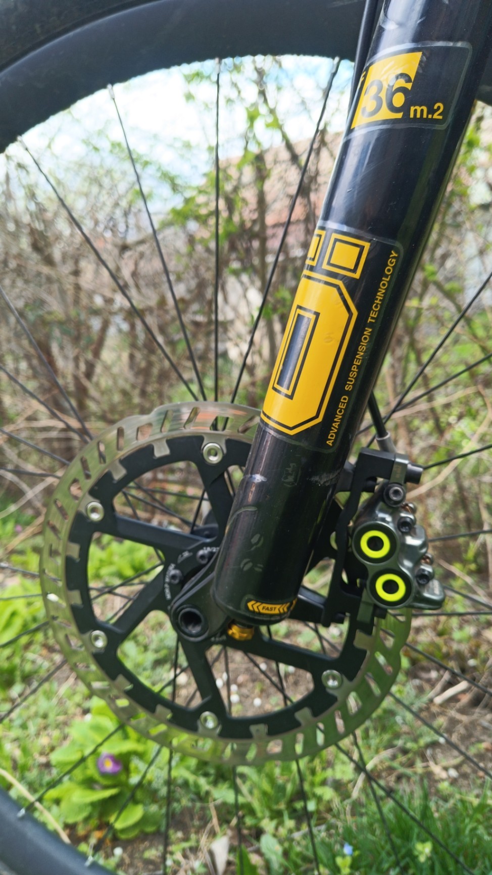 Bike view 6