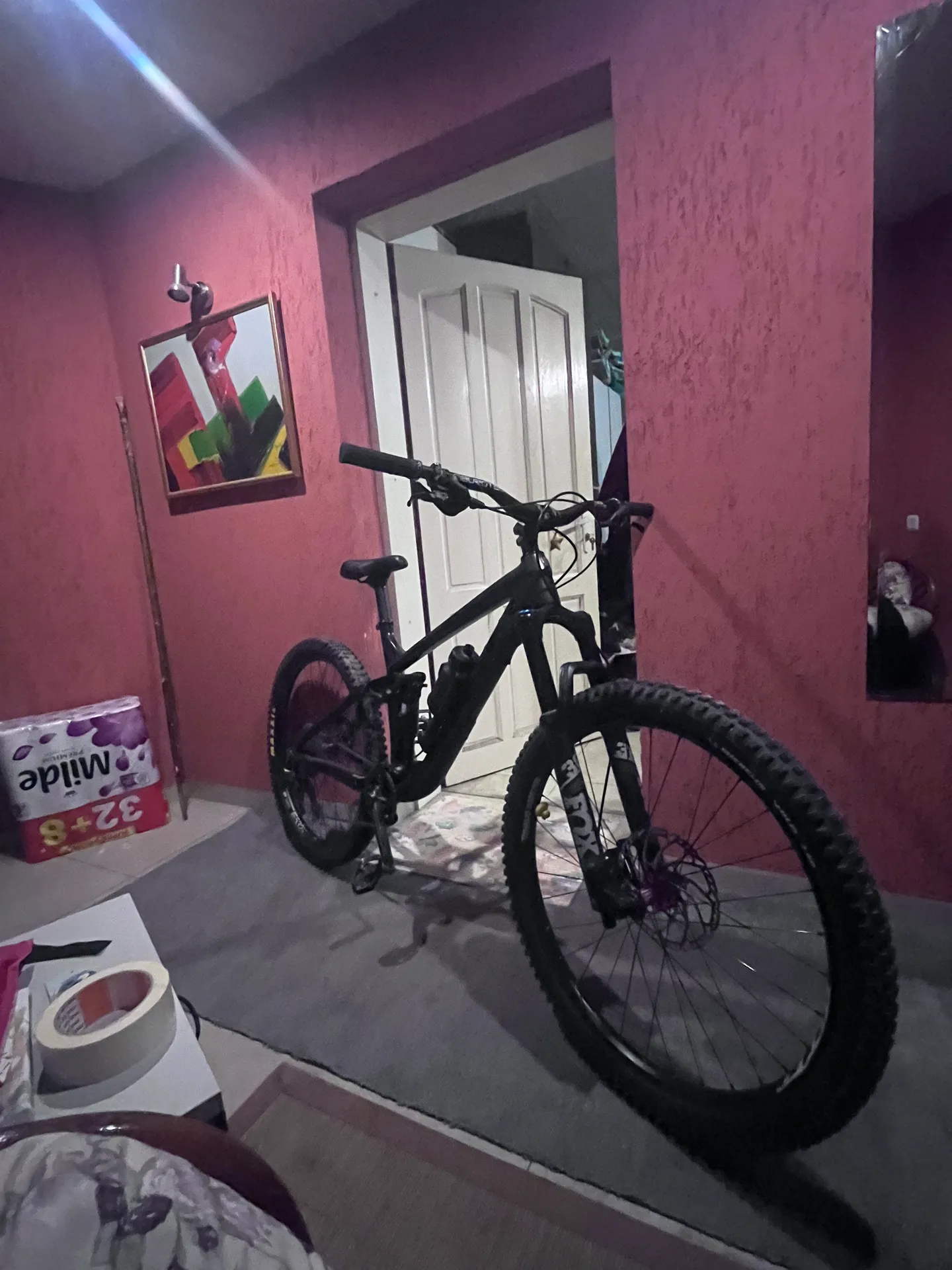 Trek Remedy 7