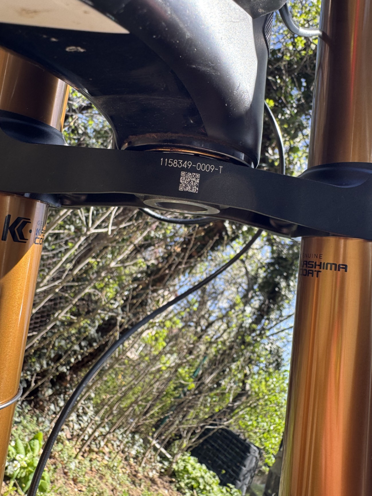 Bike view 11