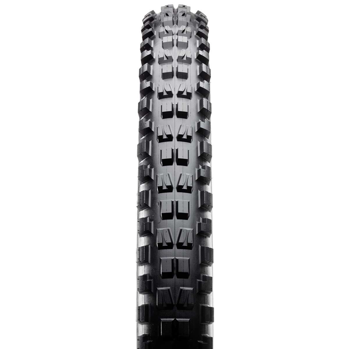 Maxxis Minion DHF 2.5x29 EXO TR MaxxTerra view 2