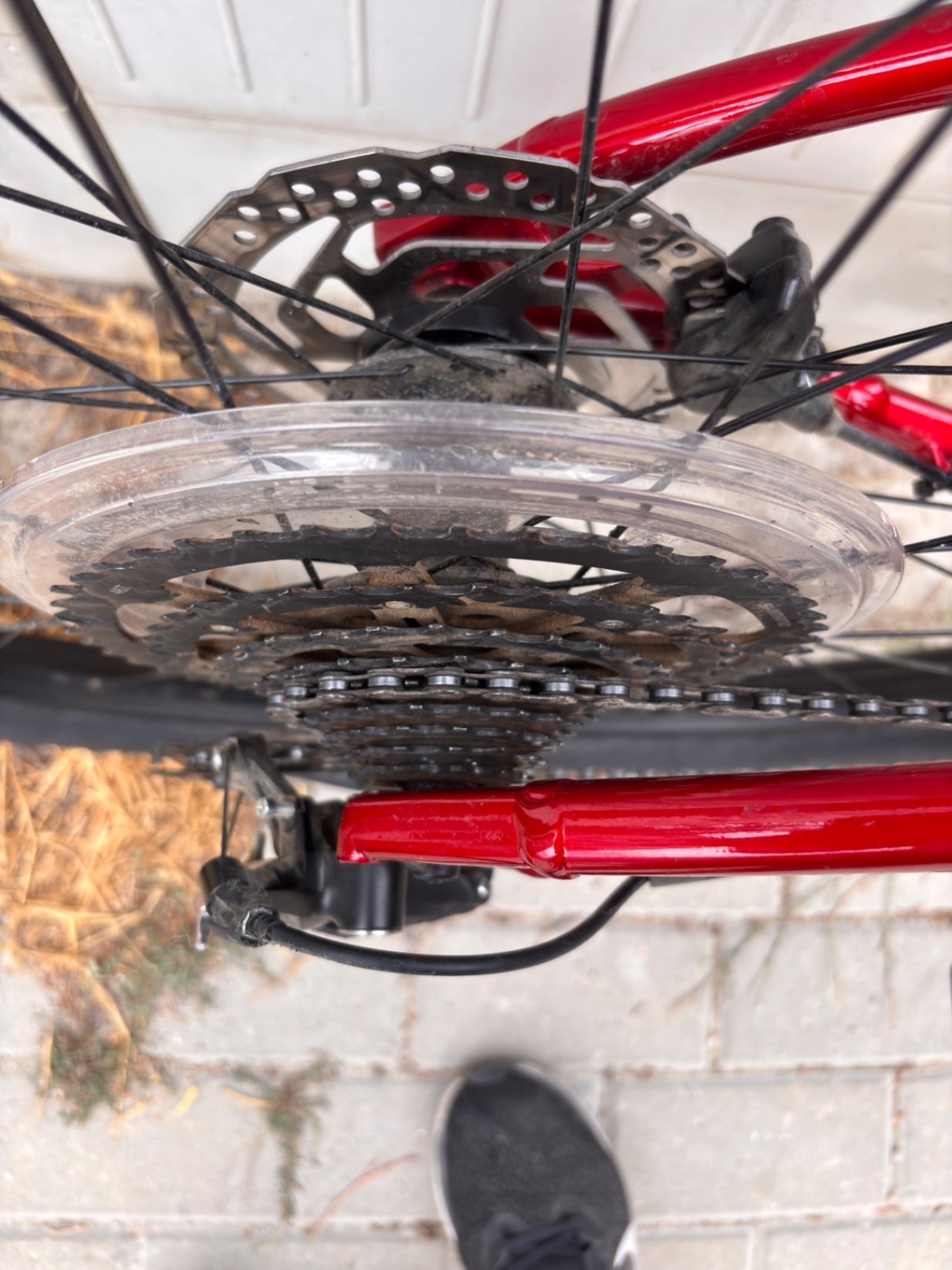 Bike view 6