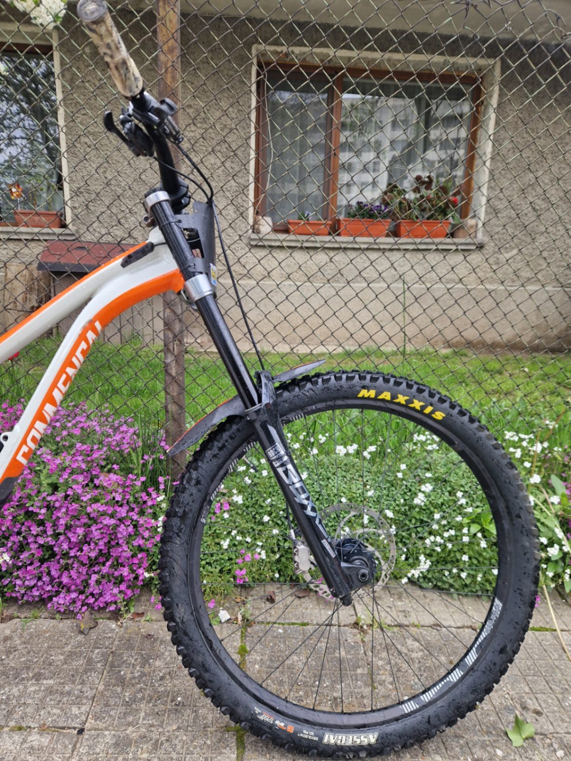 Bike view 5