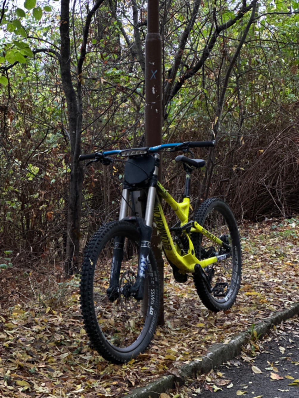 Bike view 8