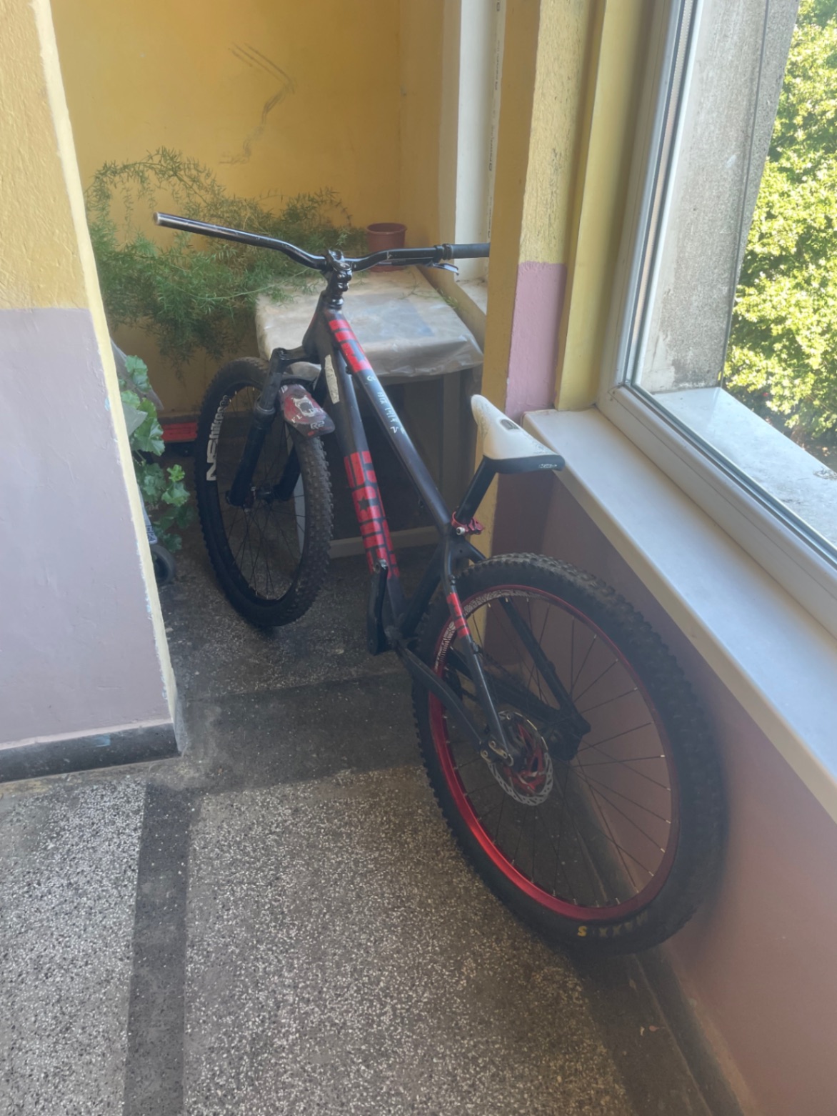 Bike view 2