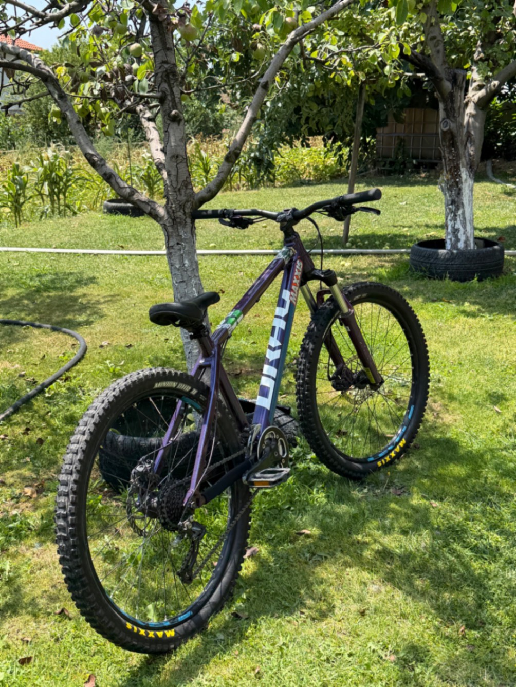 Bike view 2