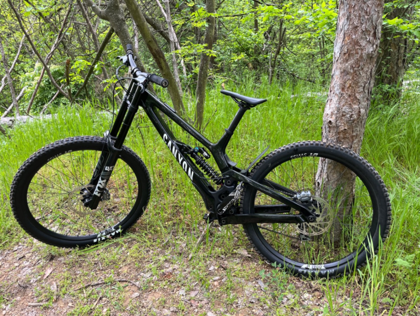 Bike view 5