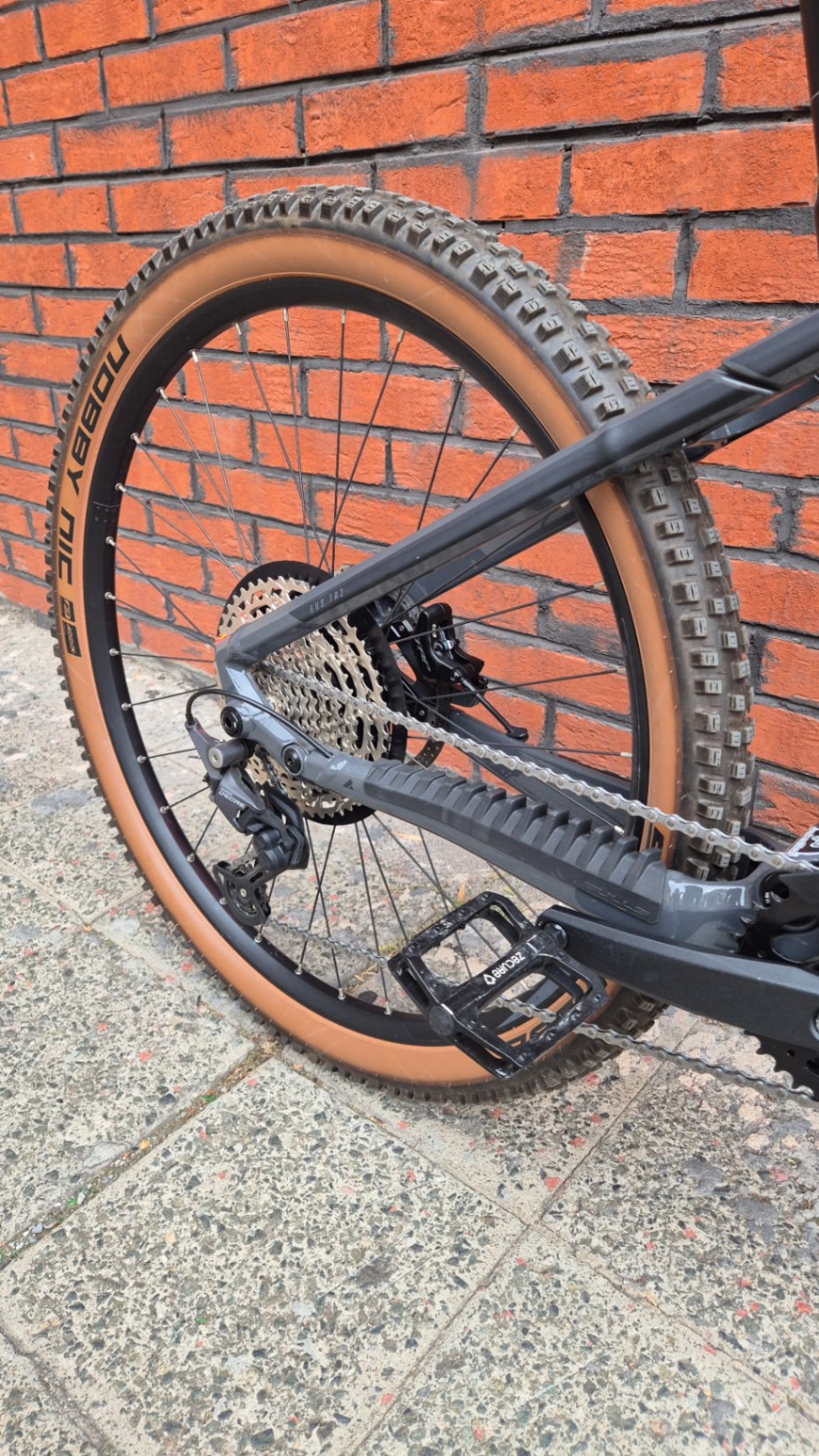 Bike view 7