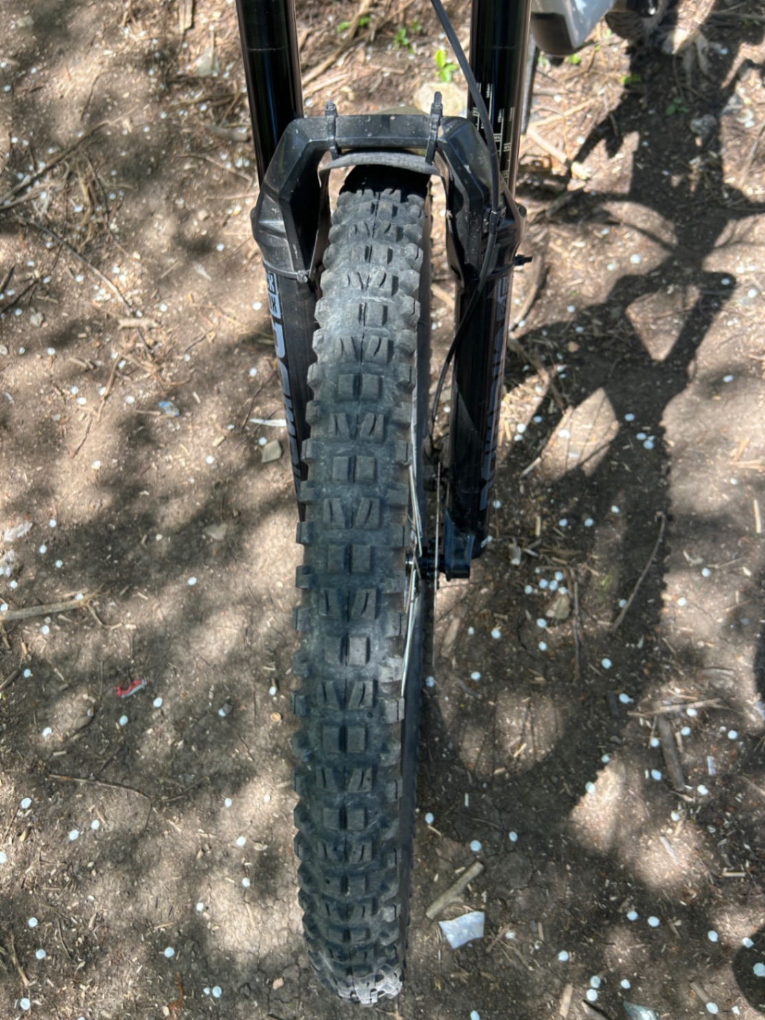 Bike view 7