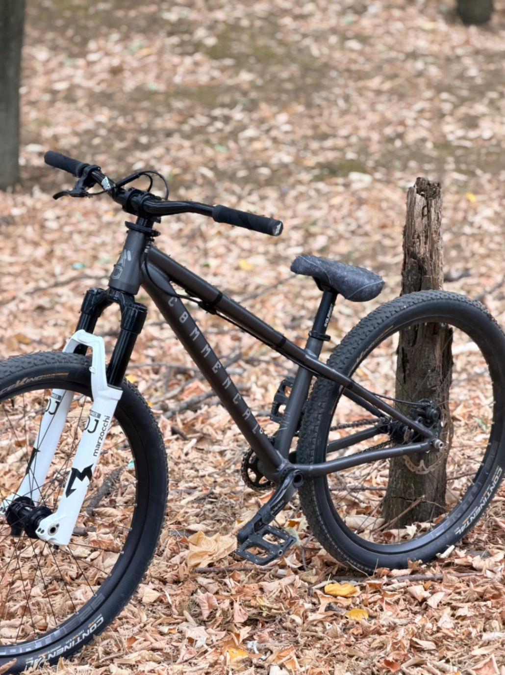 Commencal ABSOLUT