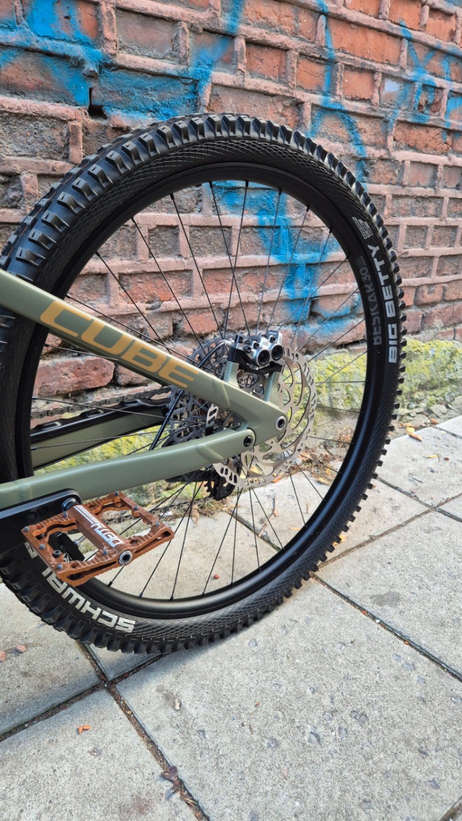 Bike view 8