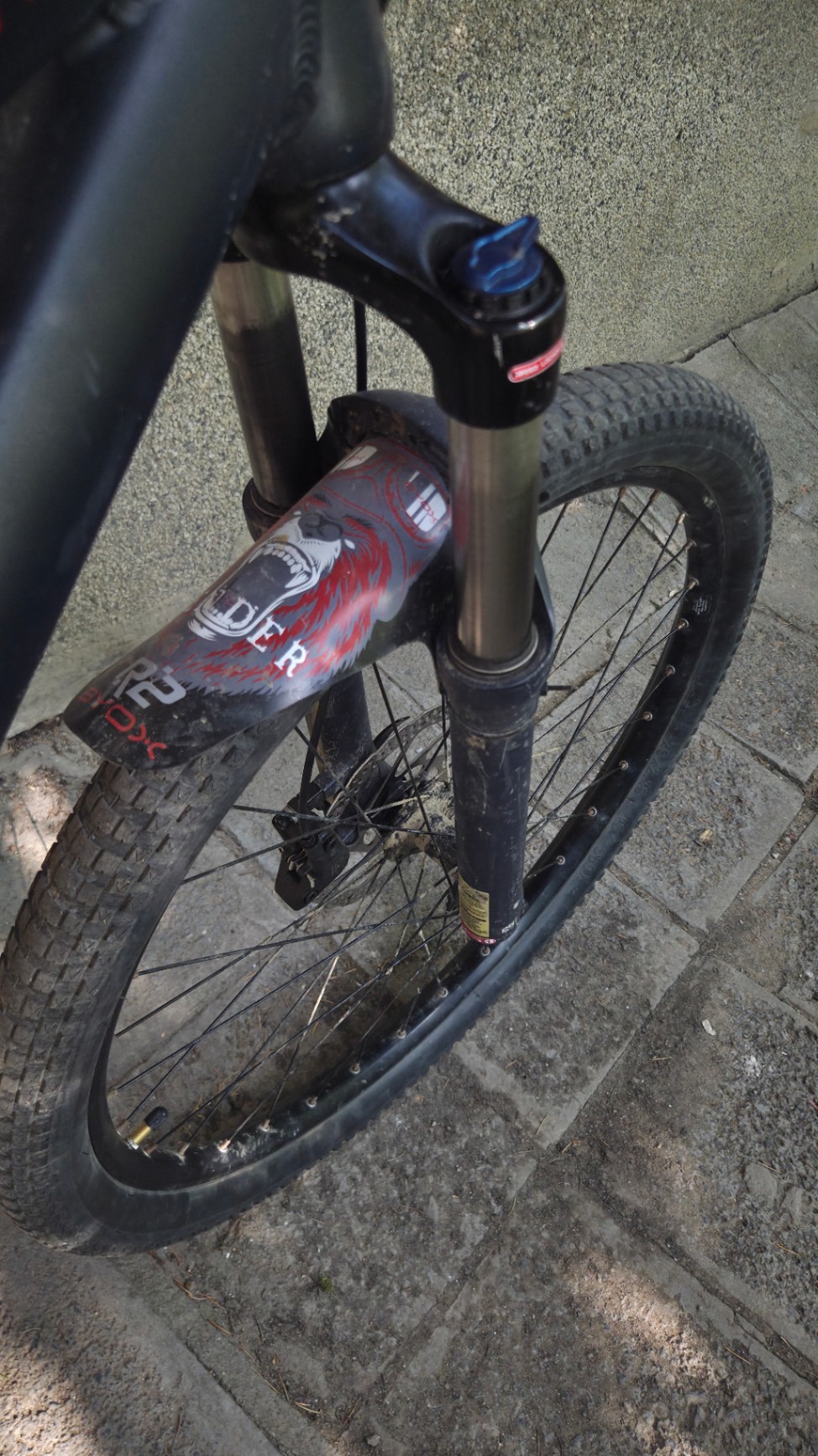Bike view 9