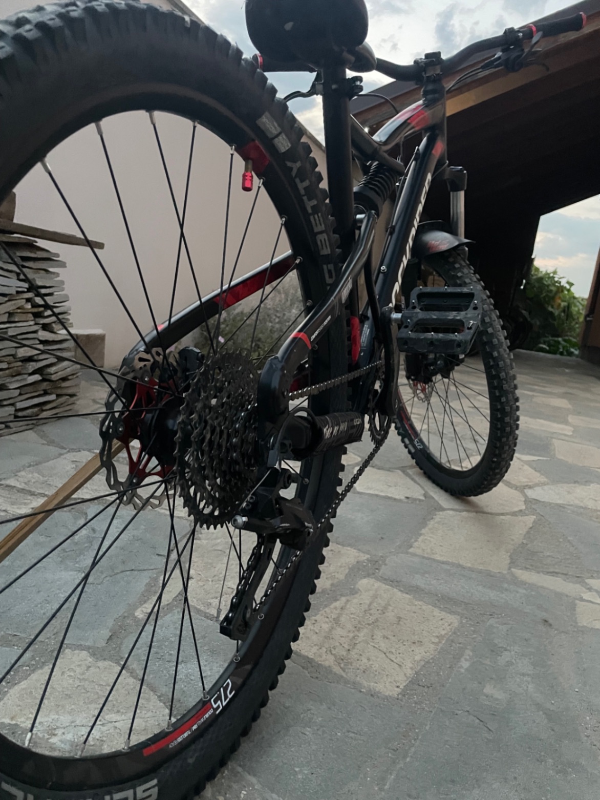 Bike view 8