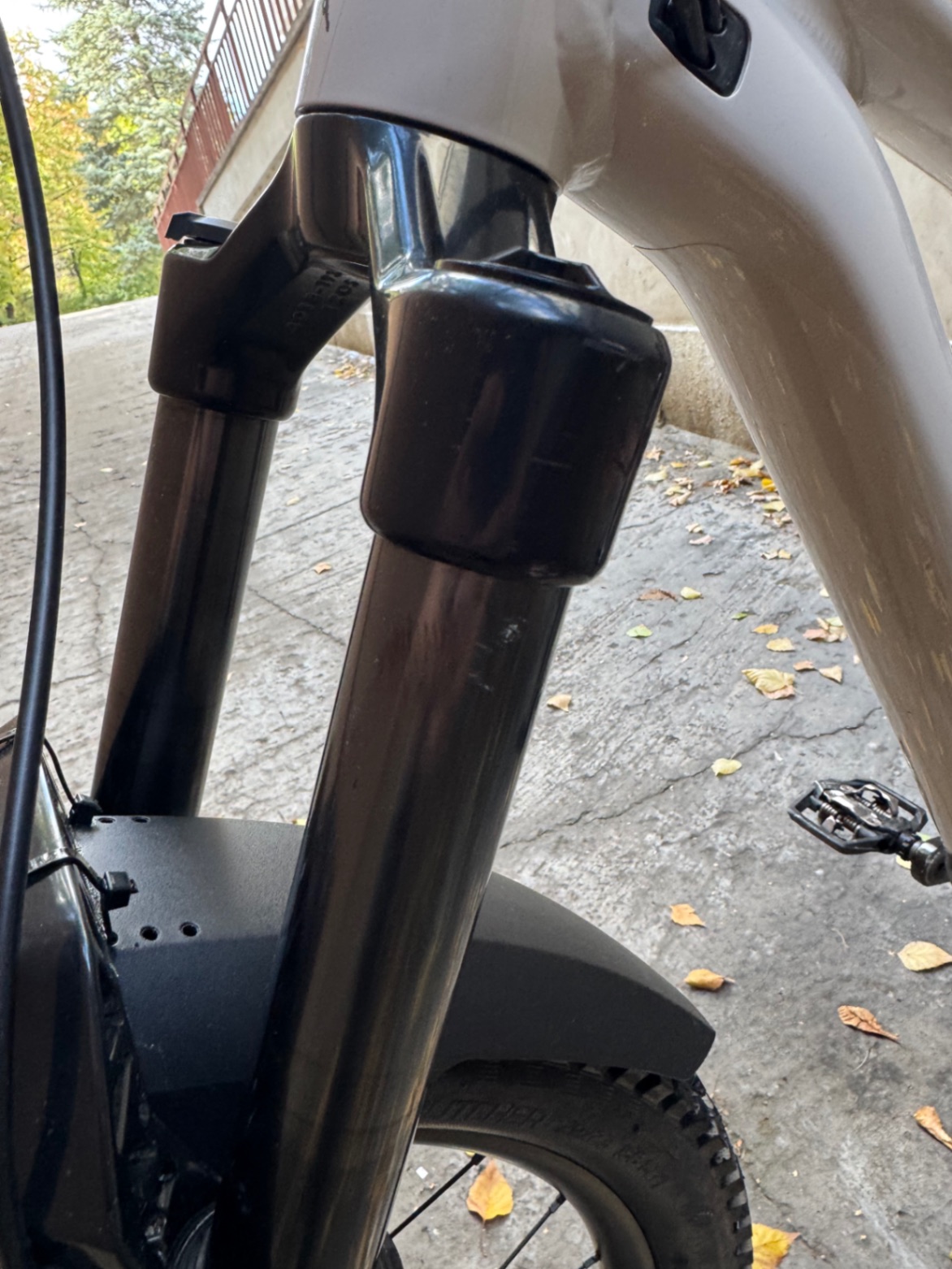 Bike view 10