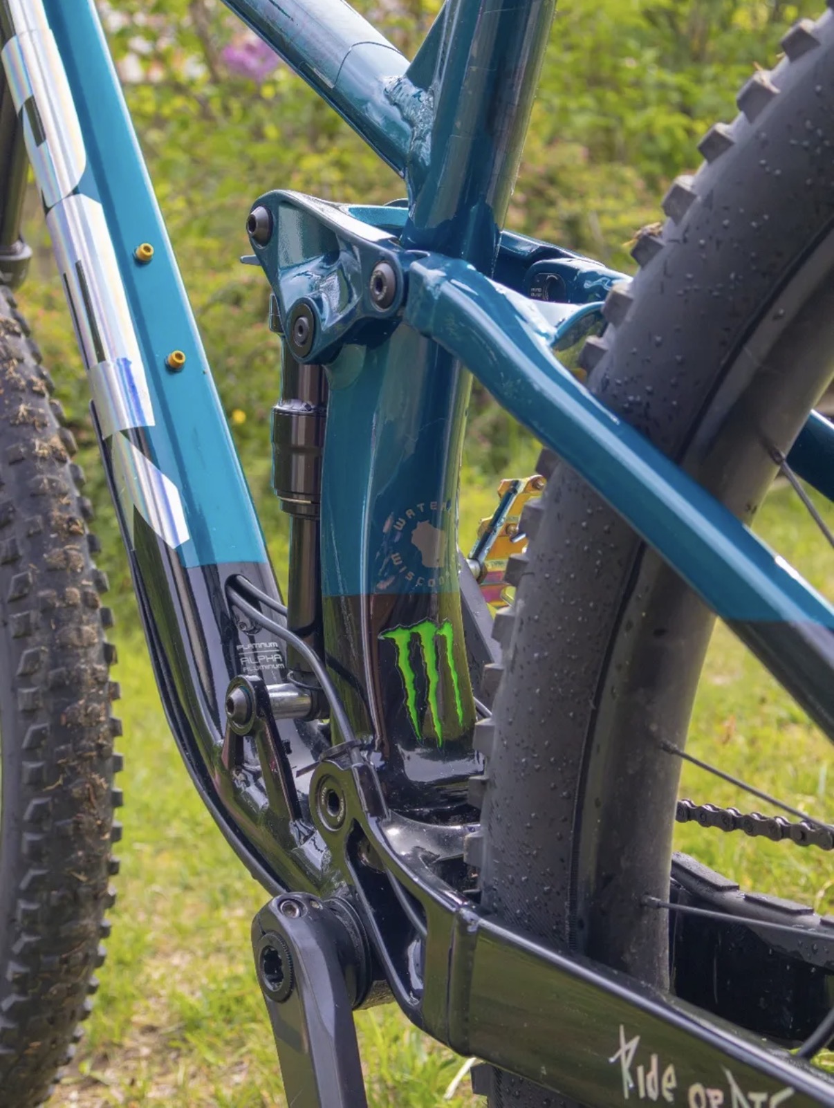 Bike view 6