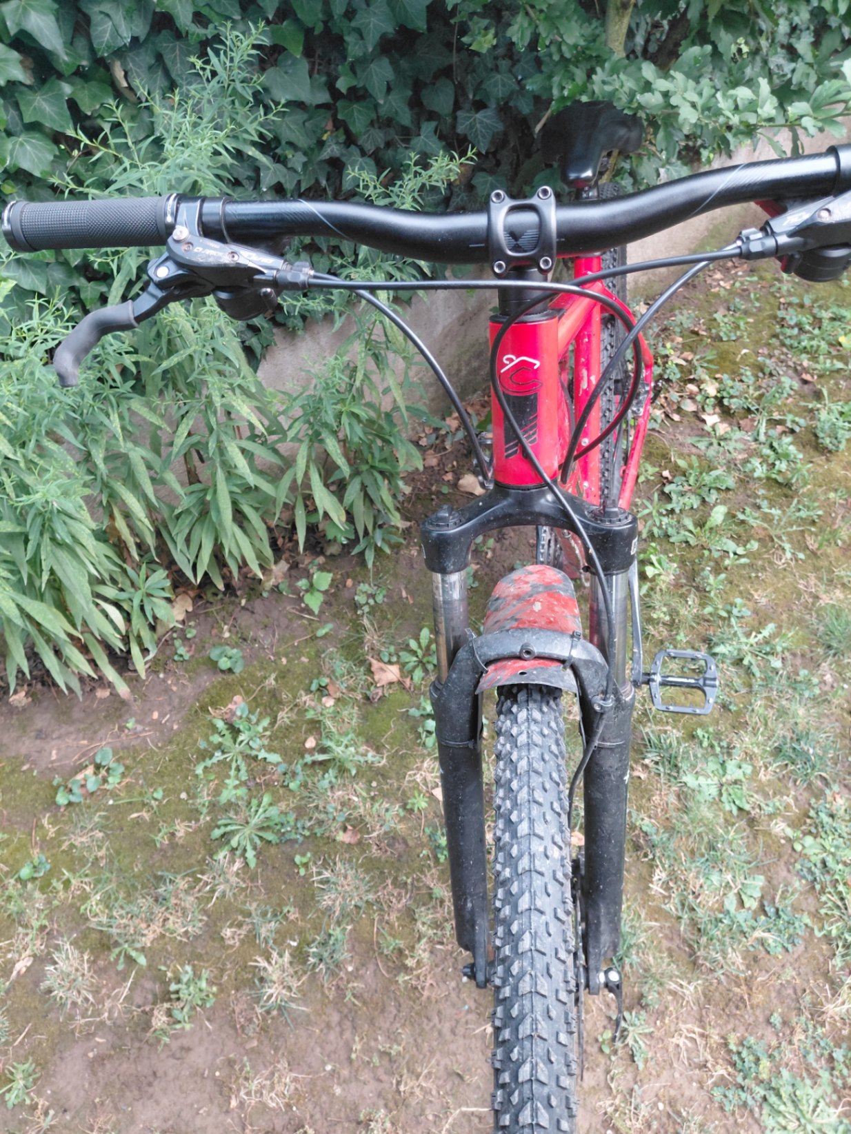 Bike view 5