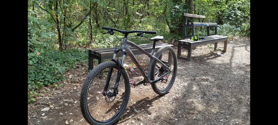 Bike view 5