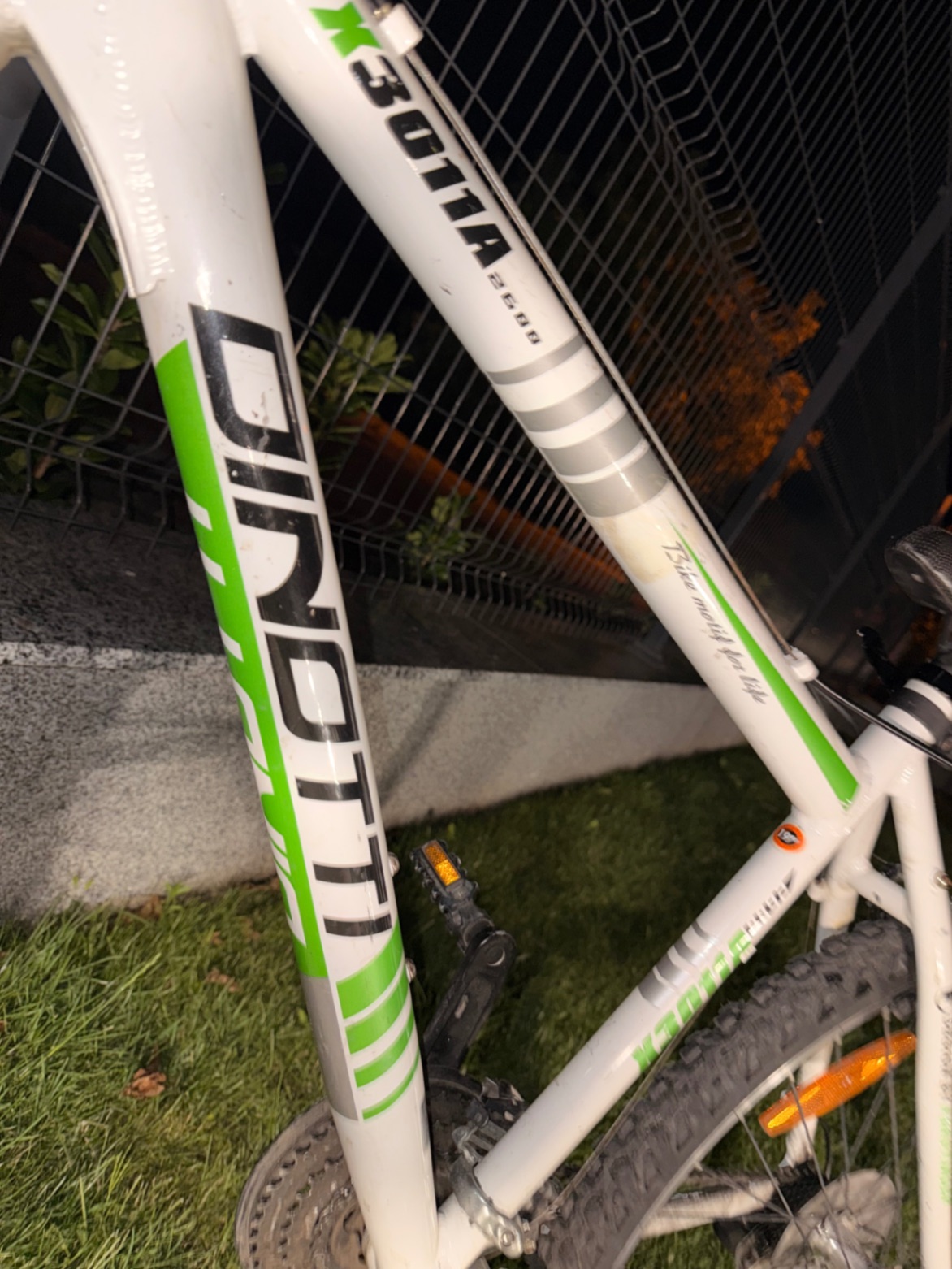 Bike view 5