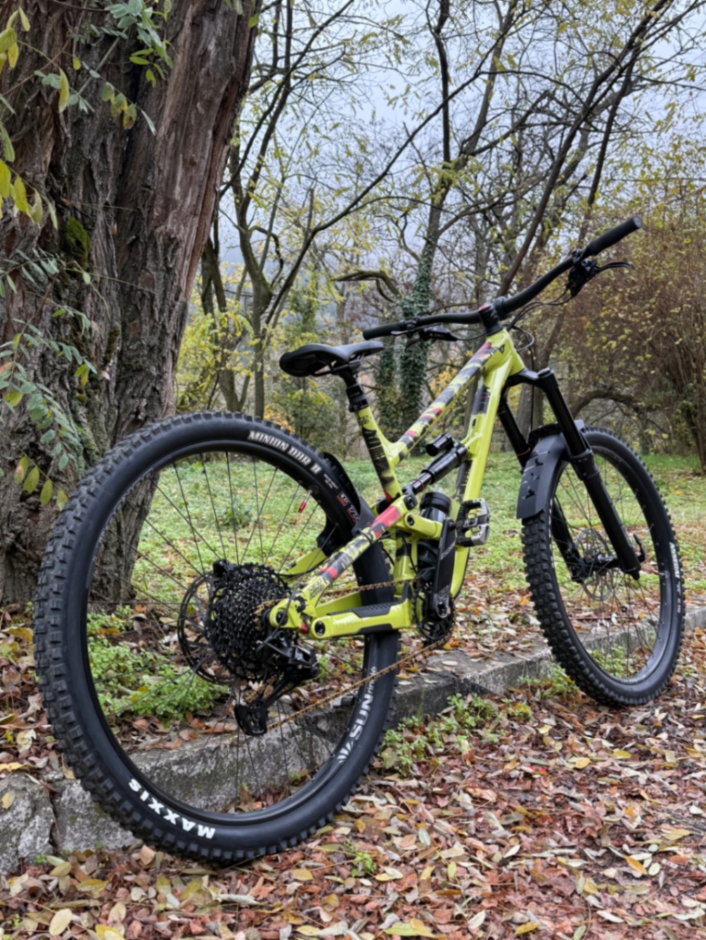 YT Industries Capra Pro
