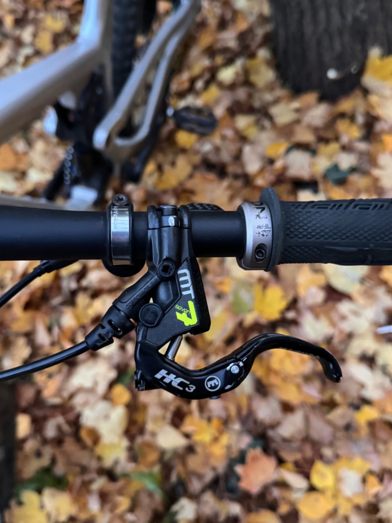 Bike view 6