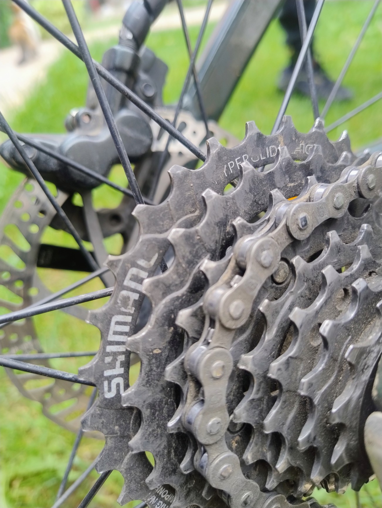 Bike view 4