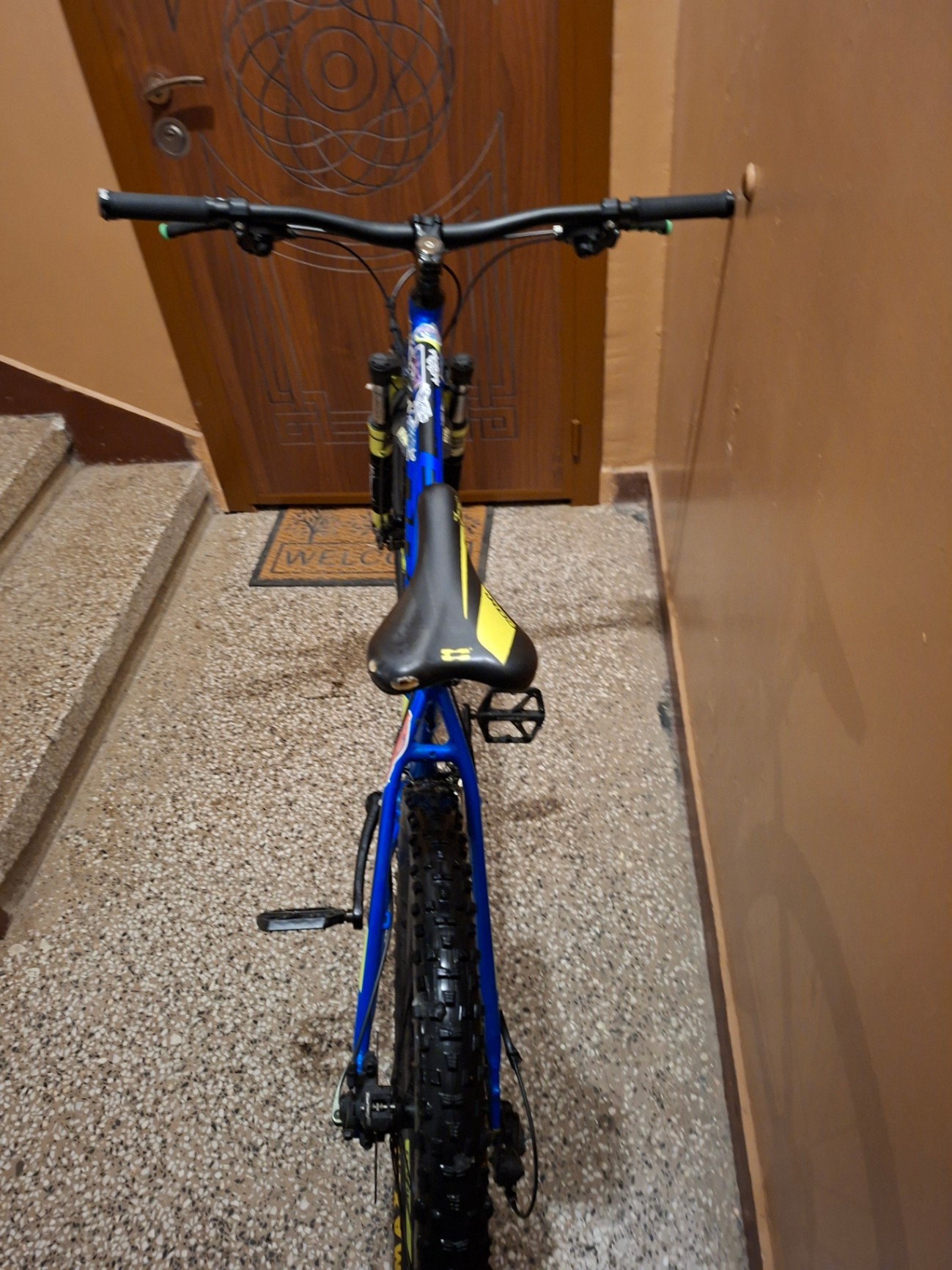 Bike view 7