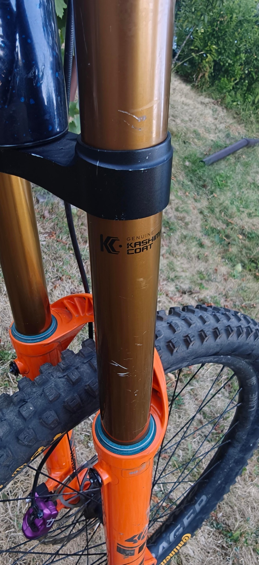 Bike view 7