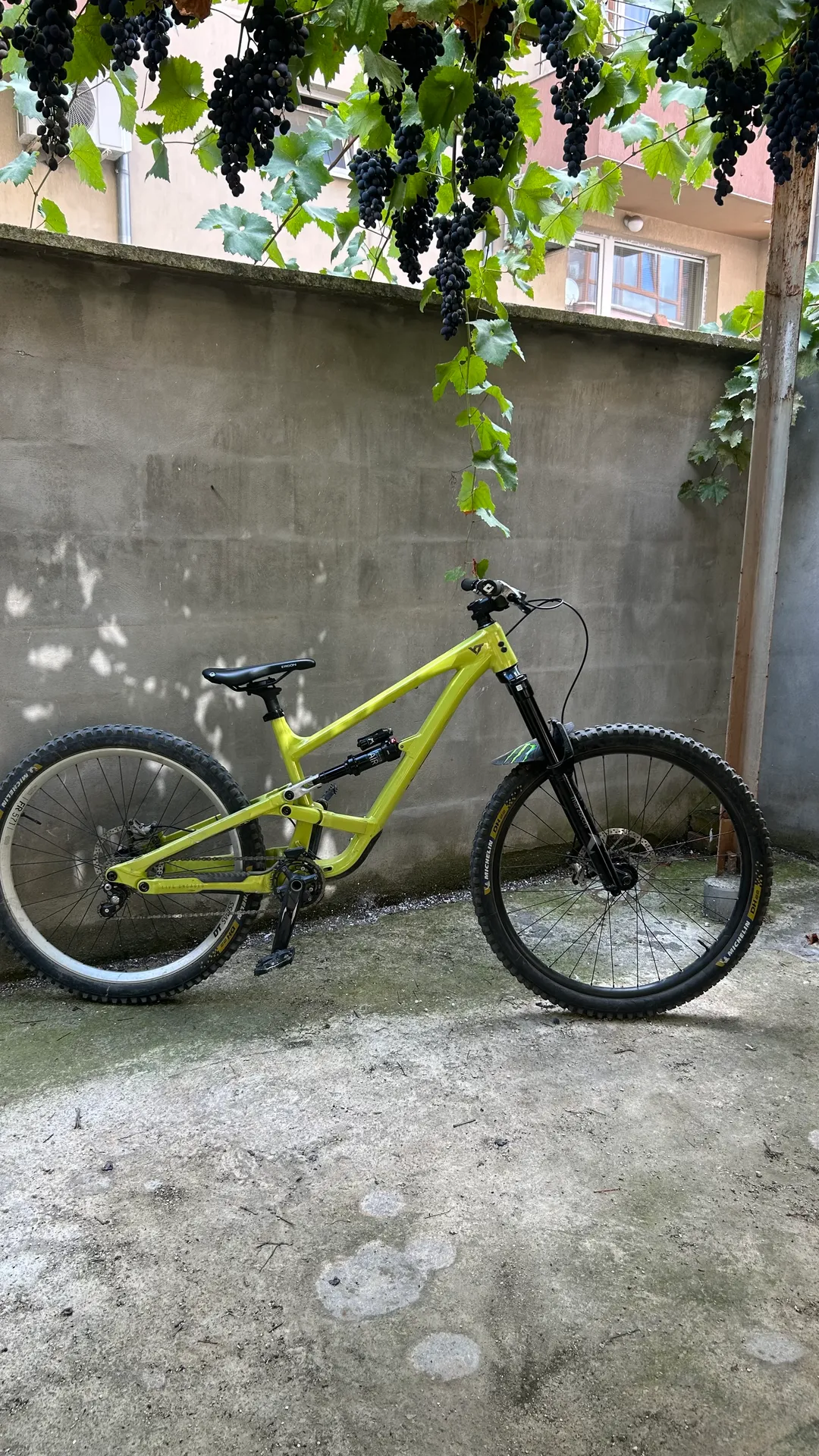 YT Industries Capra AL Base view 5