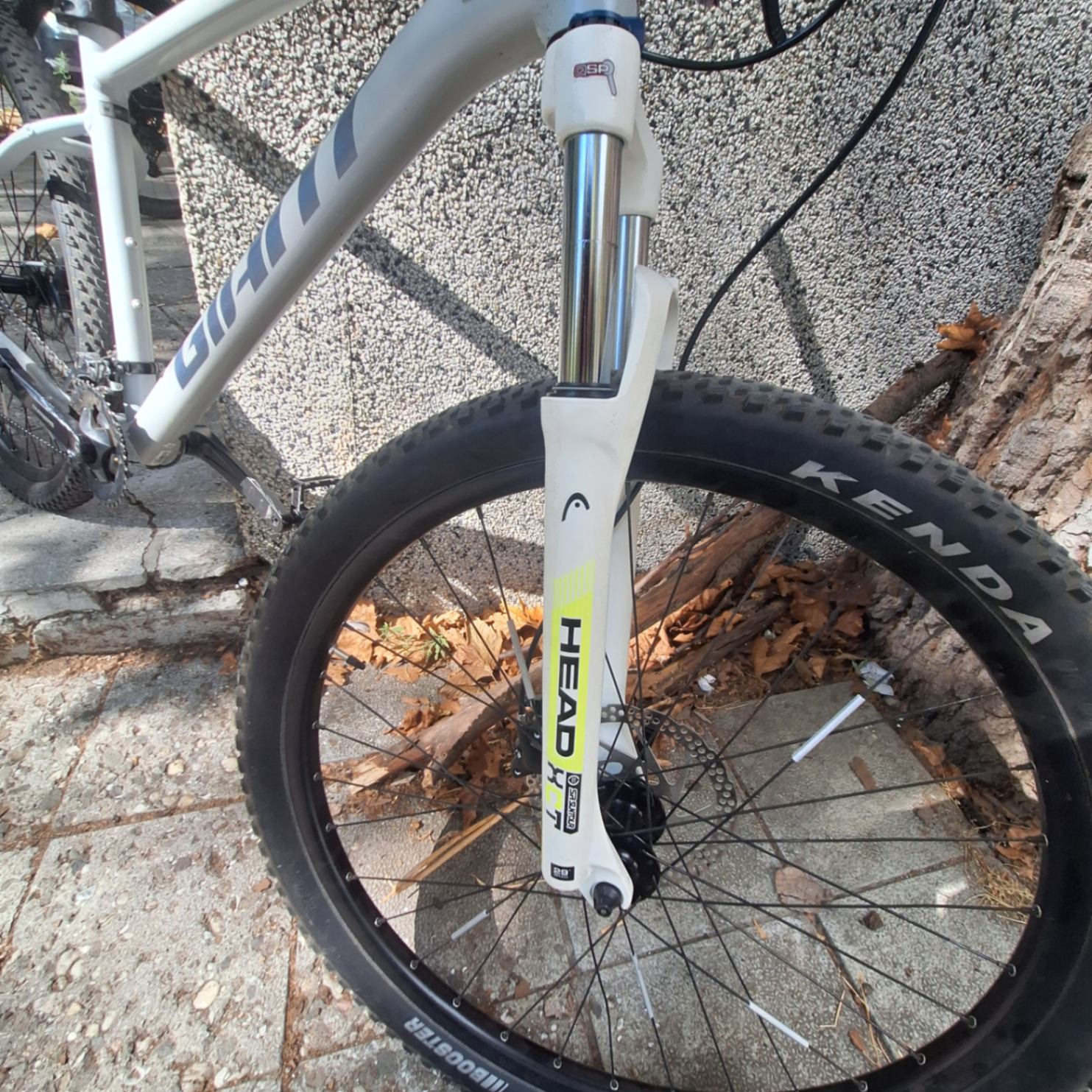 Bike view 2