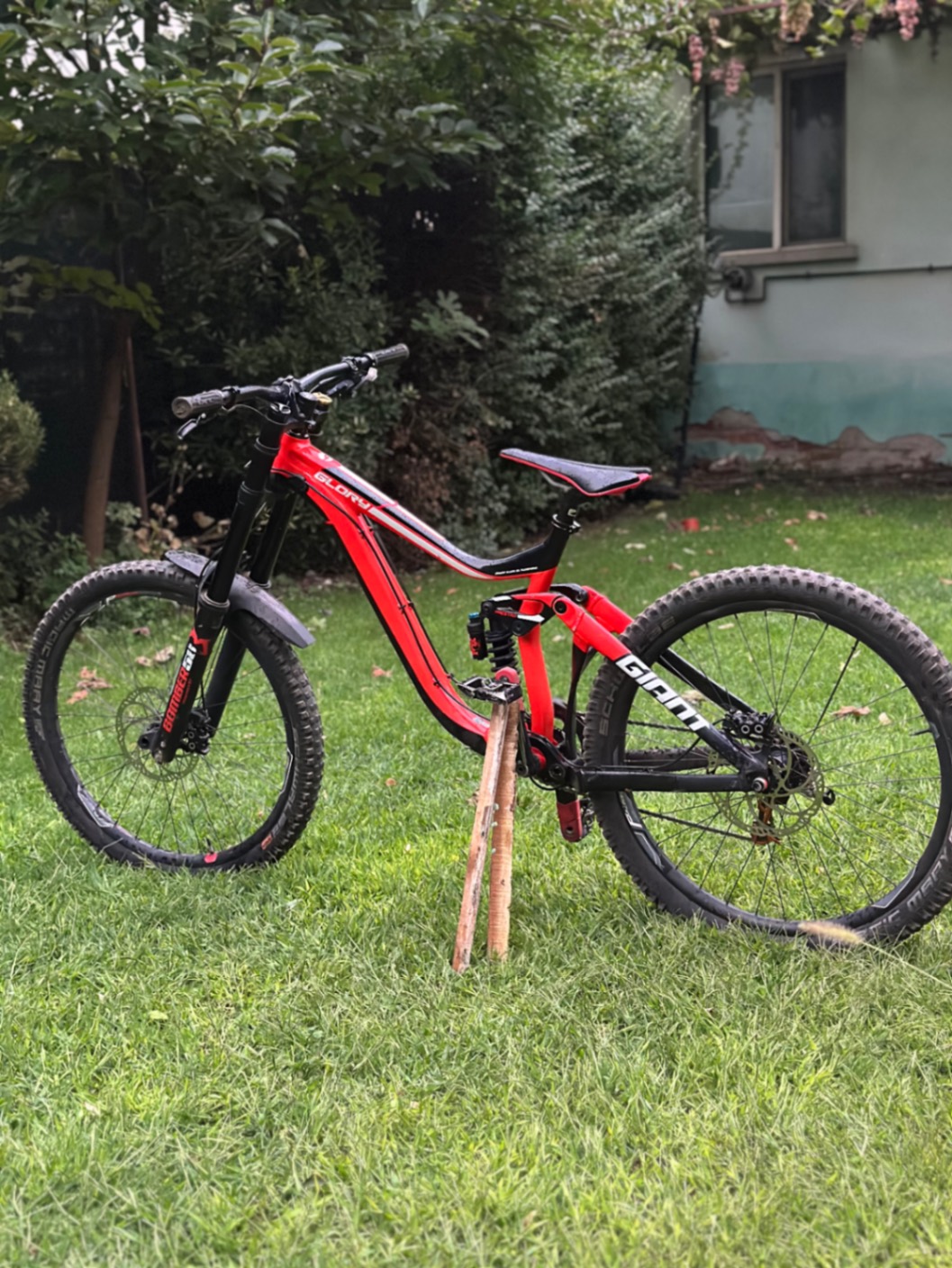 Bike view 5