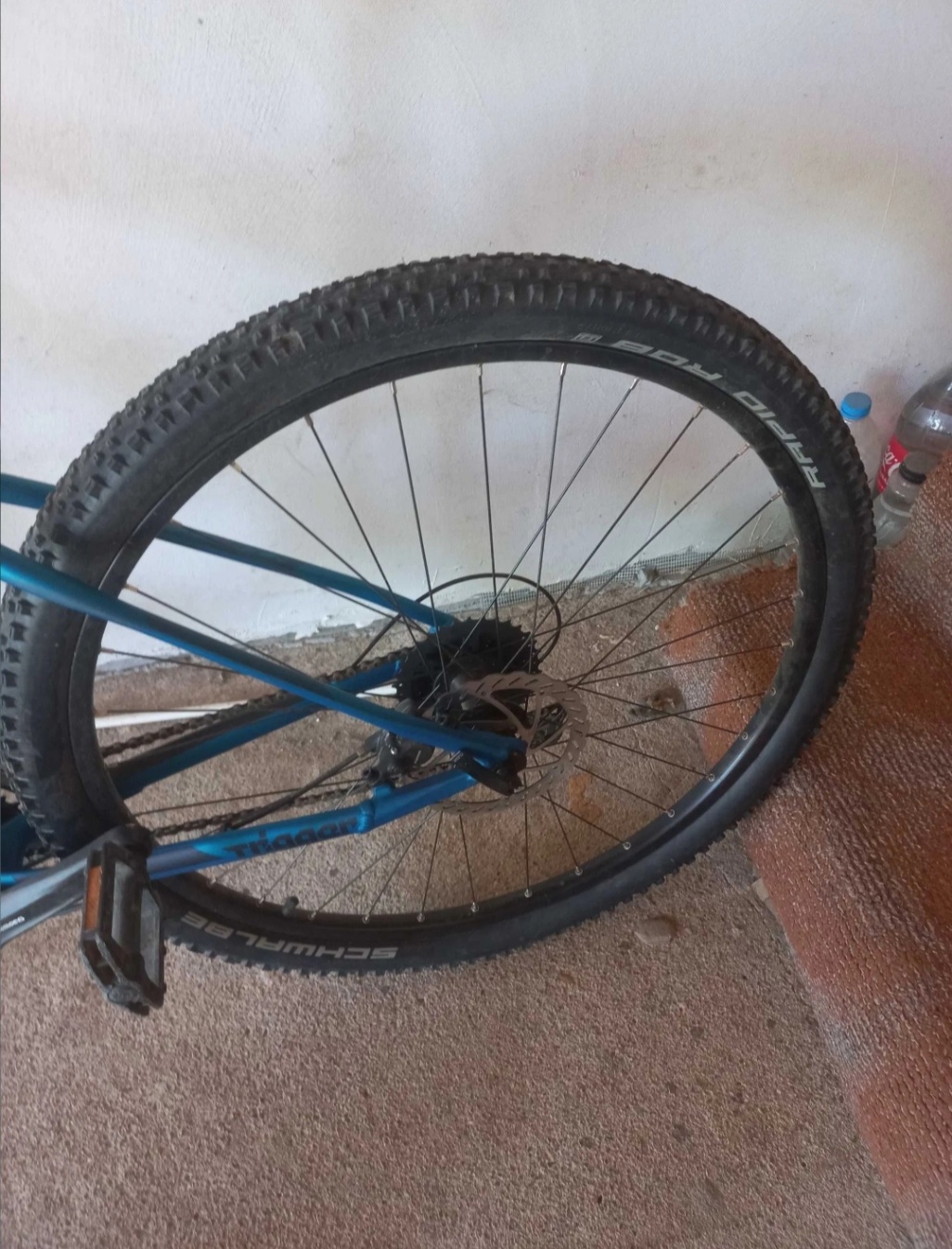 Bike view 7