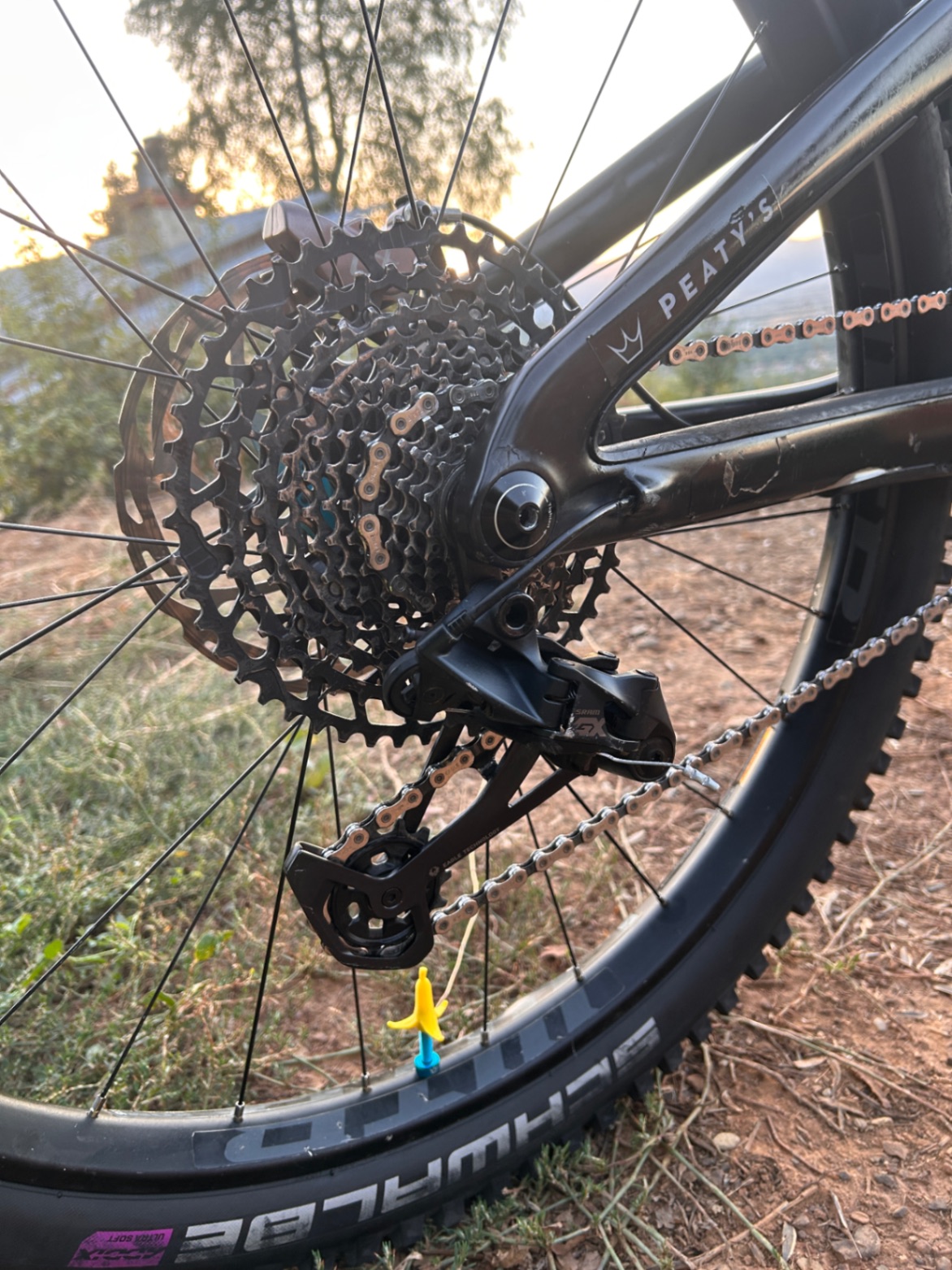 Bike view 10