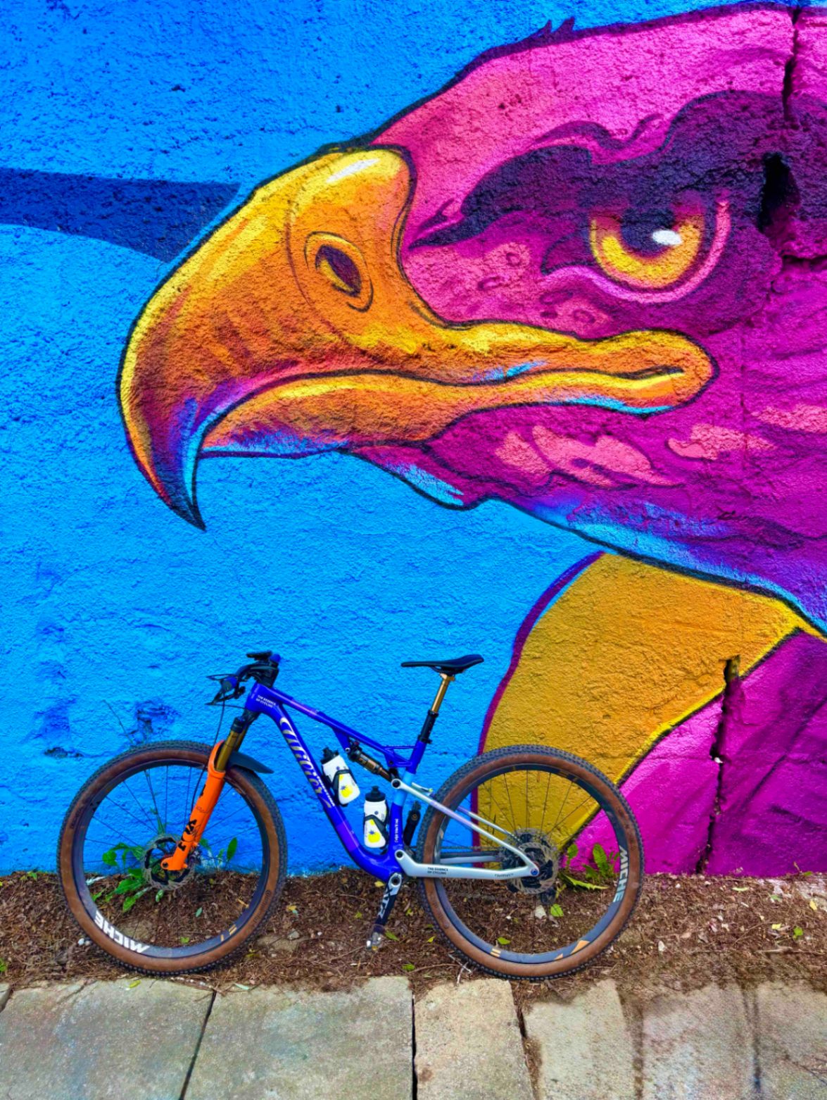 Bike view 7