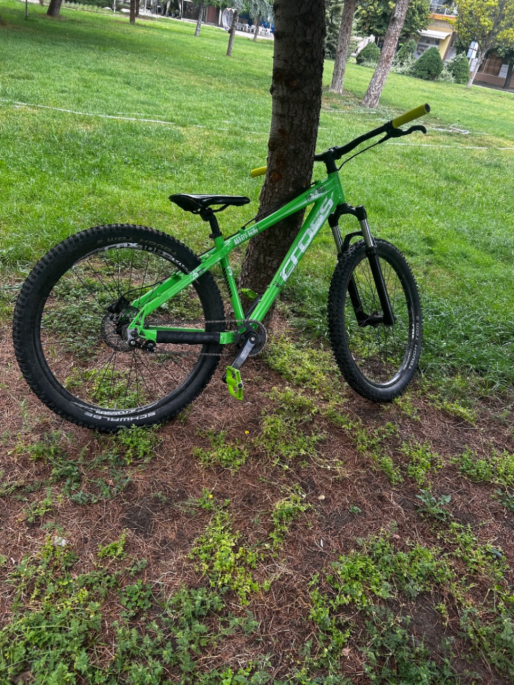 Bike view 2
