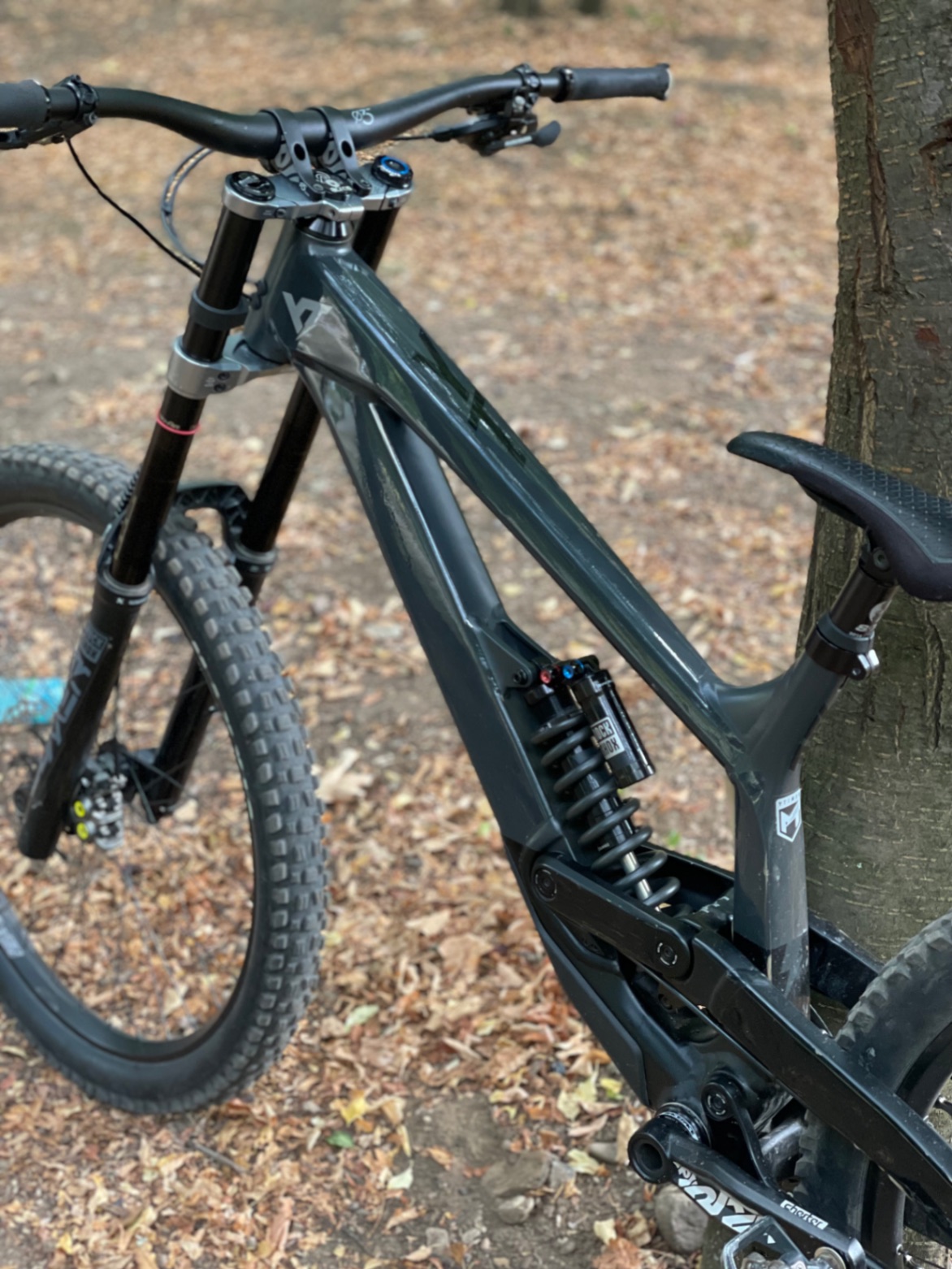 Bike view 5