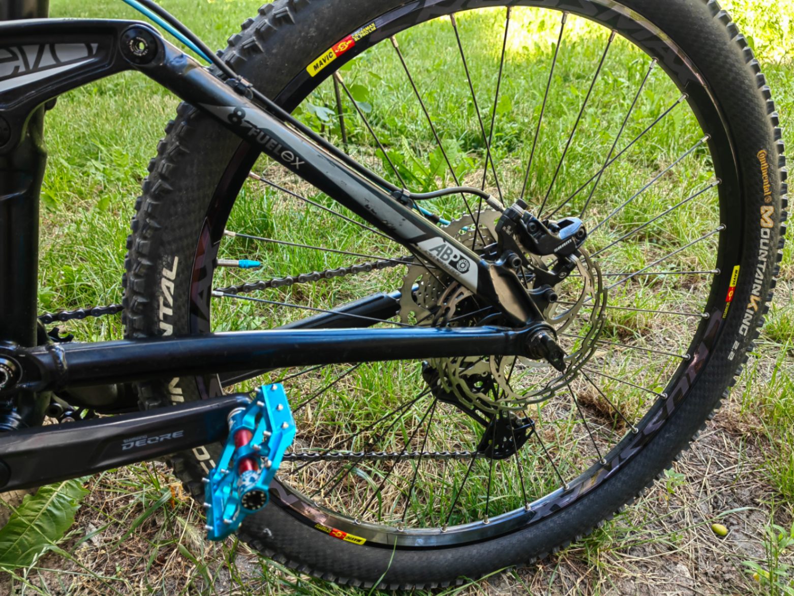 Bike view 12