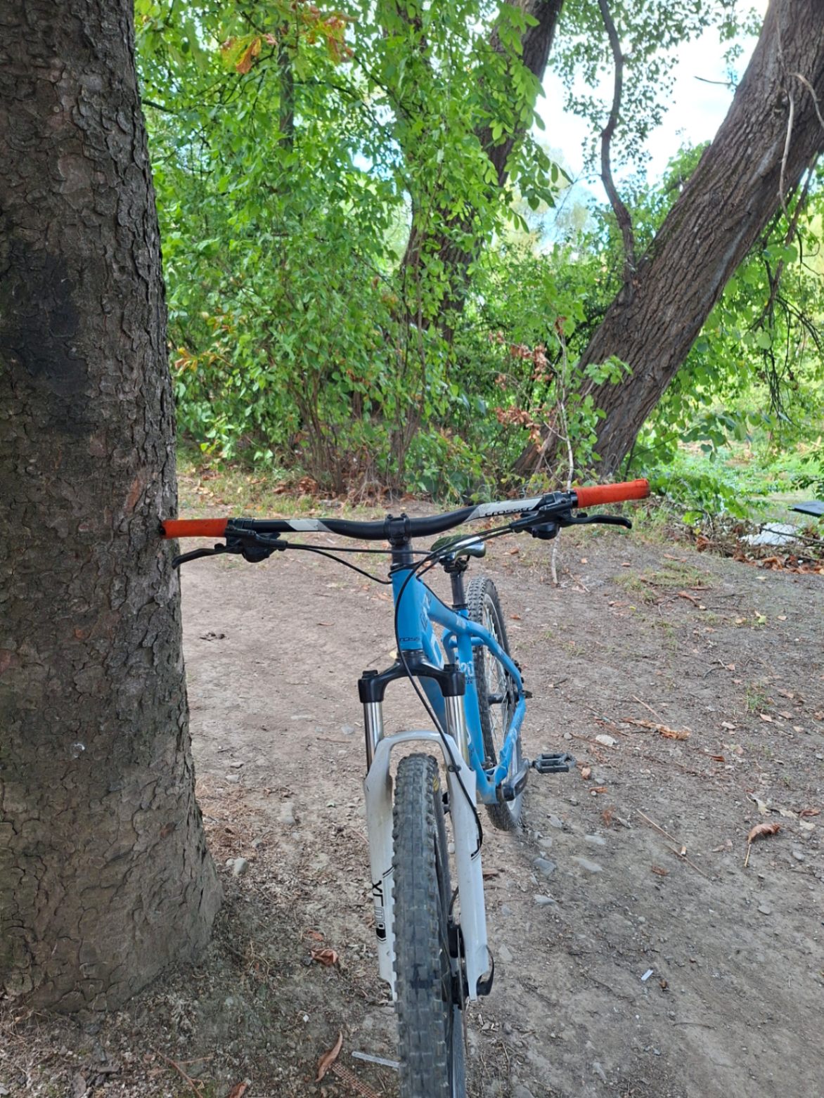 Bike view 2