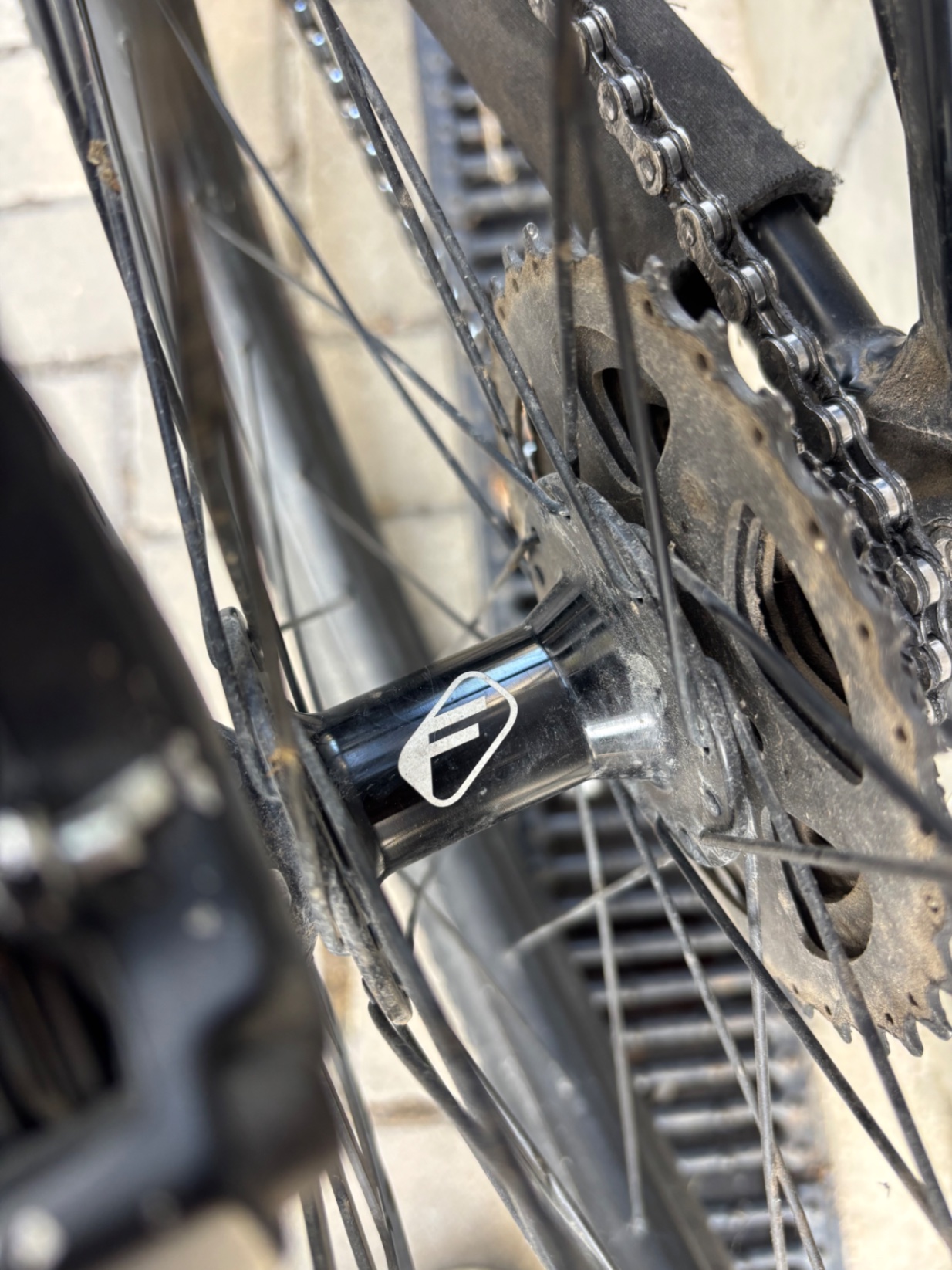 Bike view 8