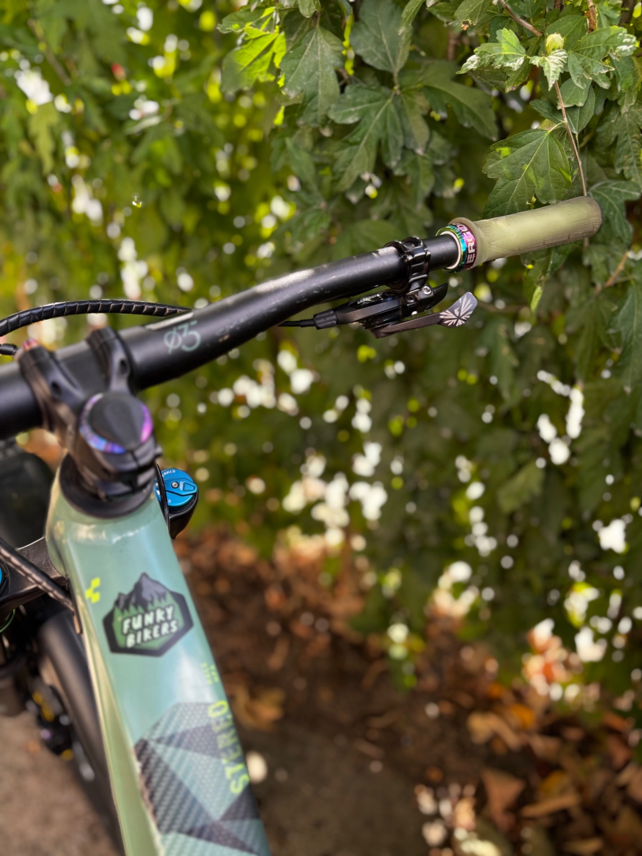 Bike view 4
