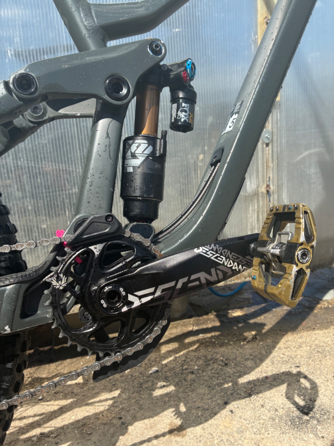 Bike view 11