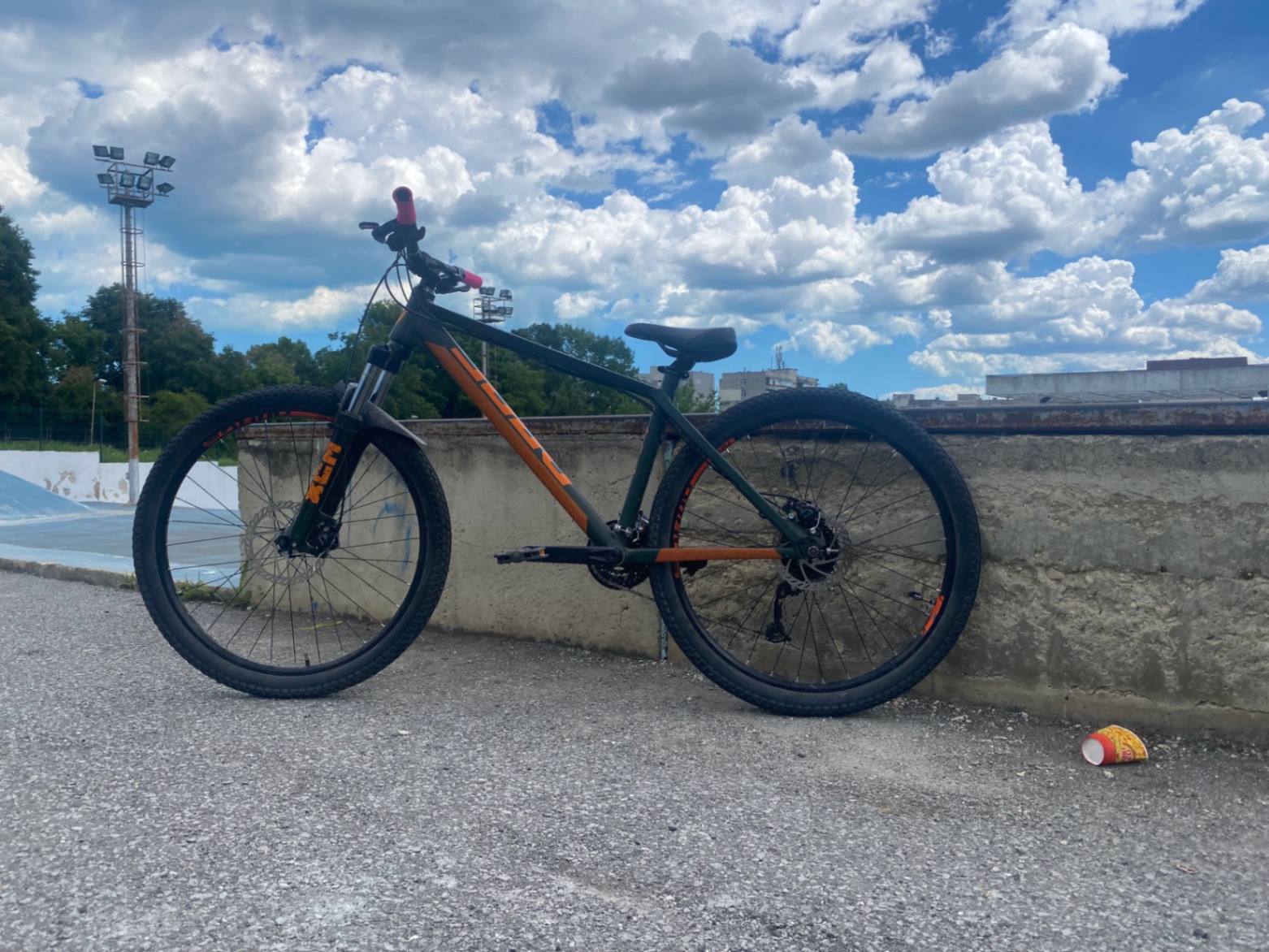 Bike view 7