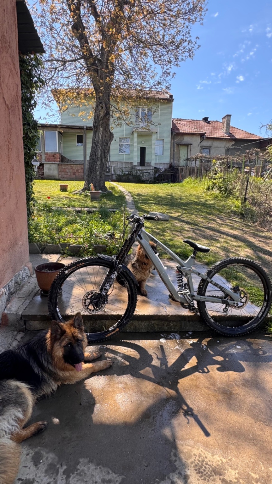 Bike view 7